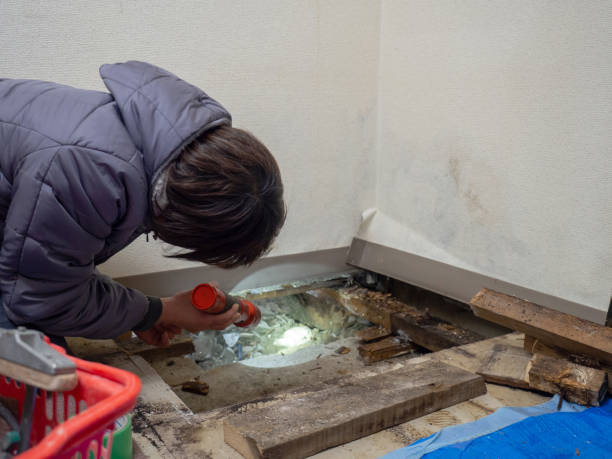 Best Indoor Air Quality Assessment  in Winter Beach, FL