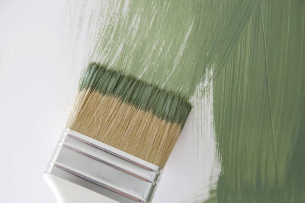  Winter Beach, FL Mold Removal Pros