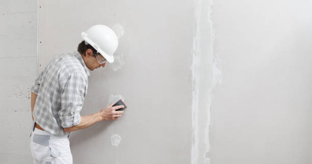 Reliable Winter Beach, FL Mold Removal Solutions
