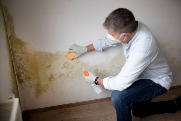 Best Indoor Air Quality Assessment  in Winter Beach, FL