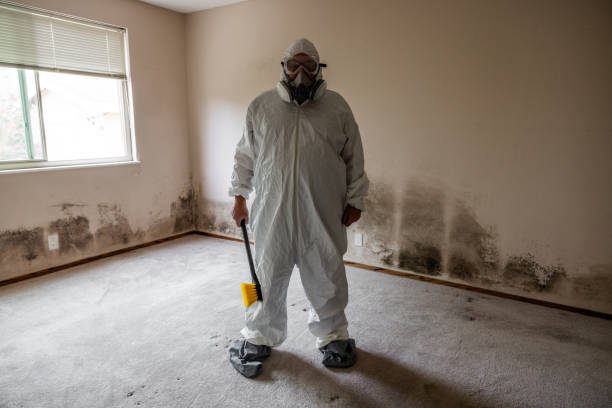 Best Mold Remediation for Vacation Homes  in Winter Beach, FL